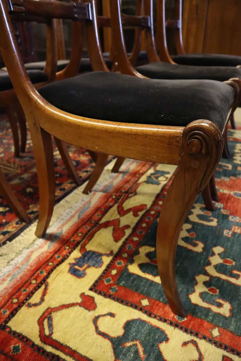 A set of six William IV rosewood dining chairs